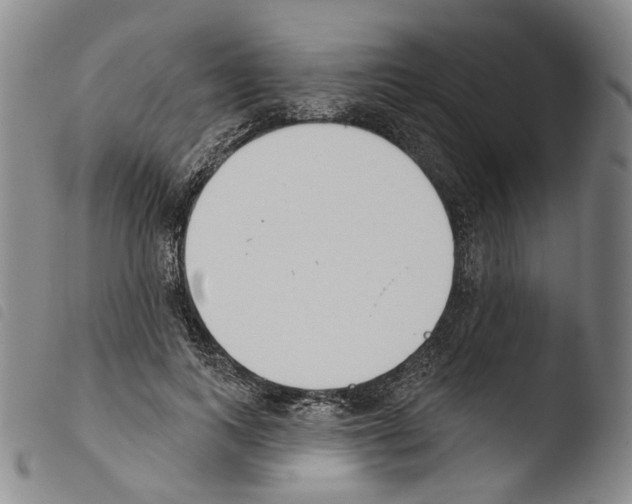X0000103490743200810241101