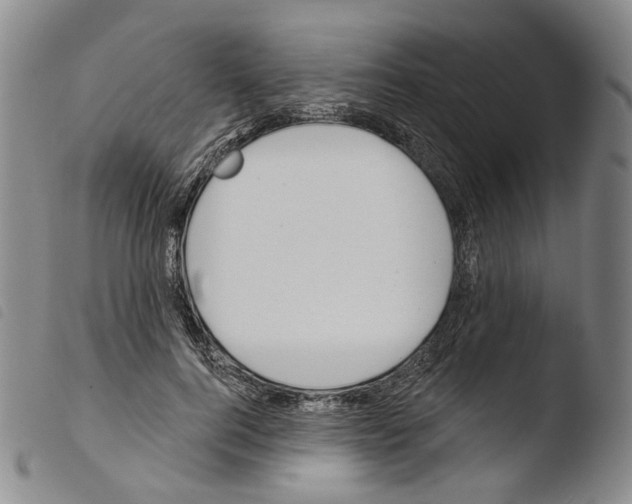 X0000103490744200810241101