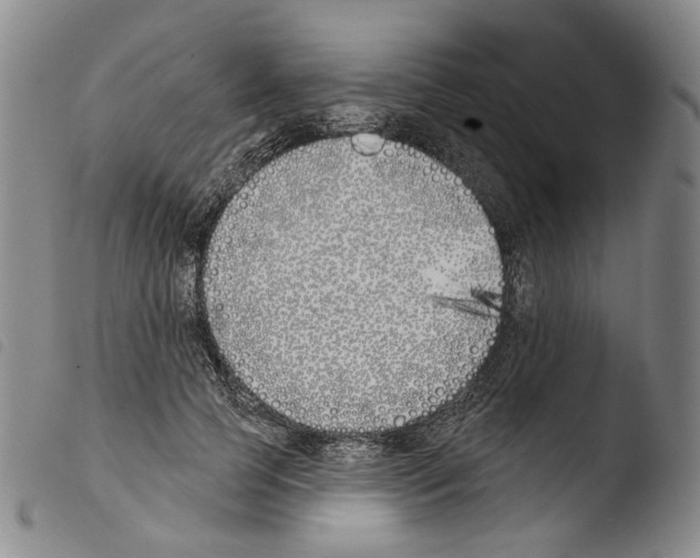 X0000103490745200810241101