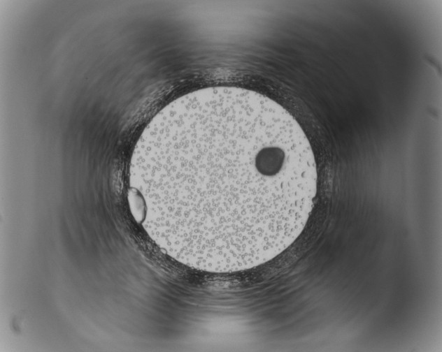X0000103490746200810241101