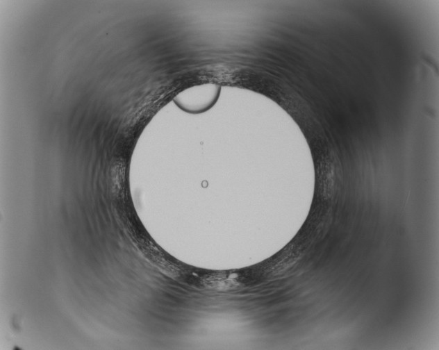X0000103490747200810241101