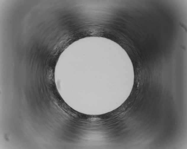 X0000103490748200810241101