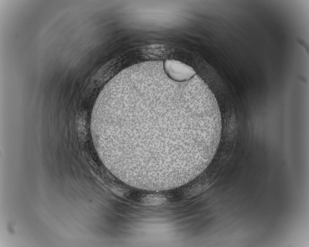 X0000103490749200810241101