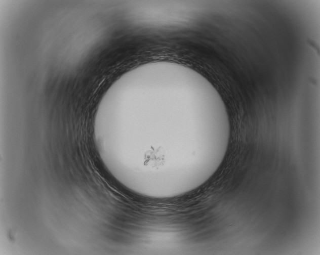 X0000103490752200810241101