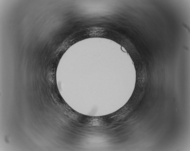 X0000103490755200810241101