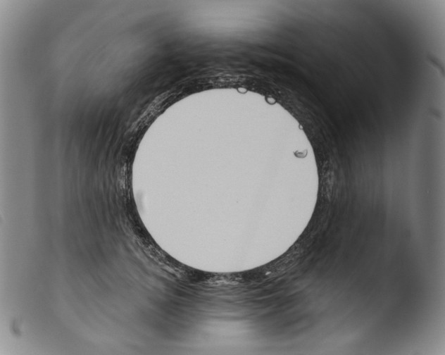 X0000103490756200810241101