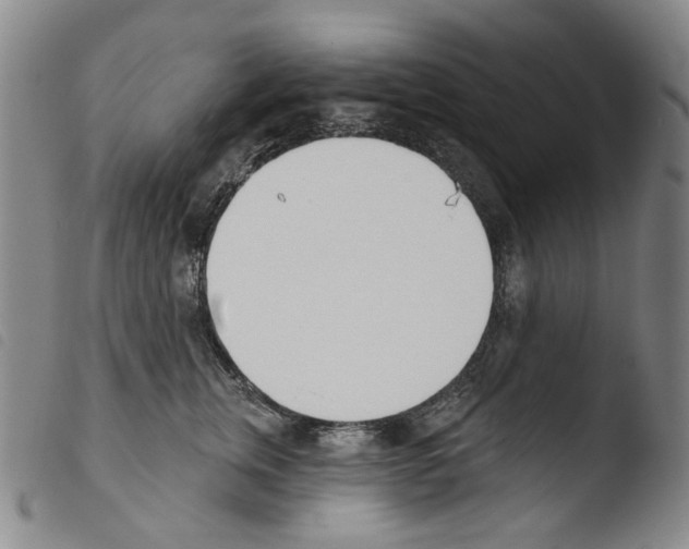 X0000103490759200810241101