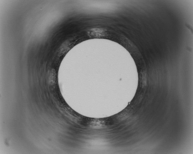 X0000103490760200810241101
