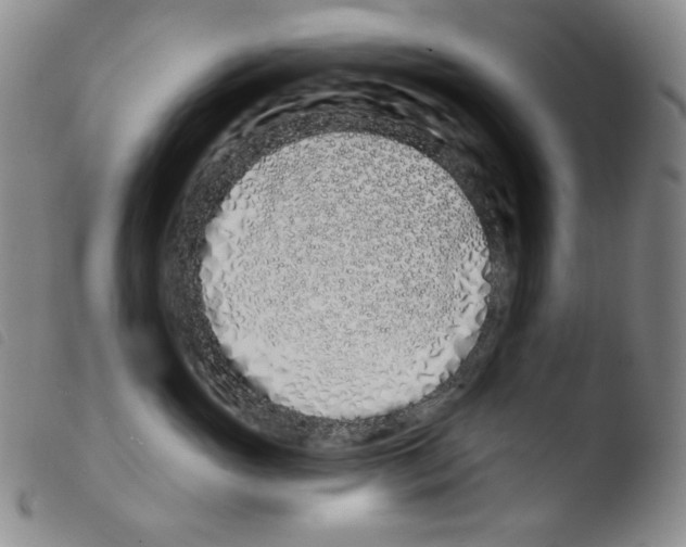 X0000103490765200810241101