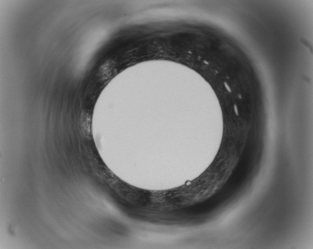 X0000103490766200810241101