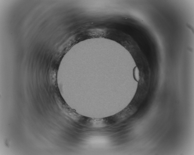X0000103490767200810241101