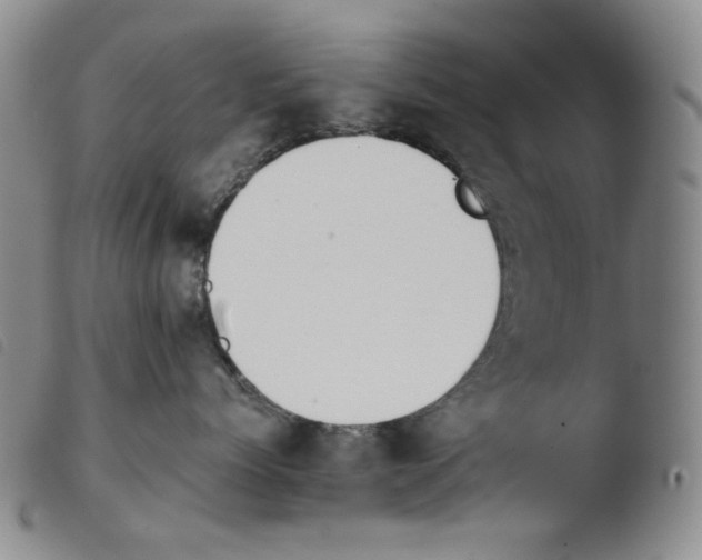X0000103490768200810241101
