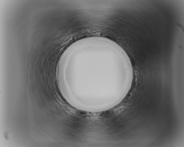 X0000103490769200810241100