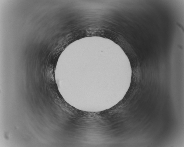 X0000103490770200810241100