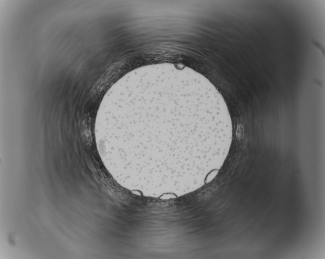 X0000103490771200810241100