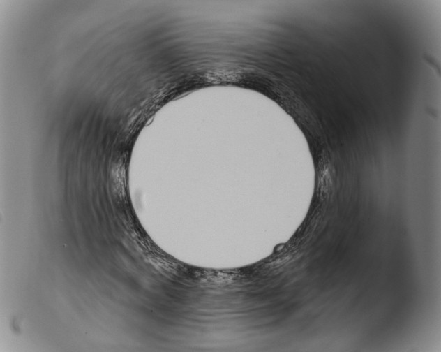 X0000103490772200810241100