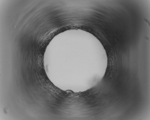 X0000103490773200810241100