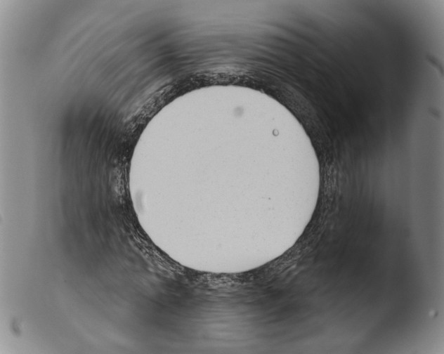 X0000103490774200810241100