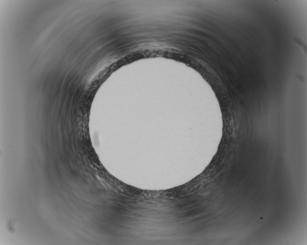 X0000103490775200810241100