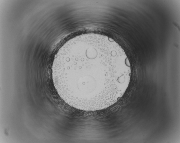X0000103490776200810241100