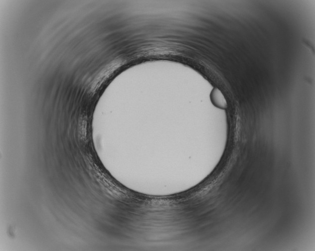 X0000103490777200810241100