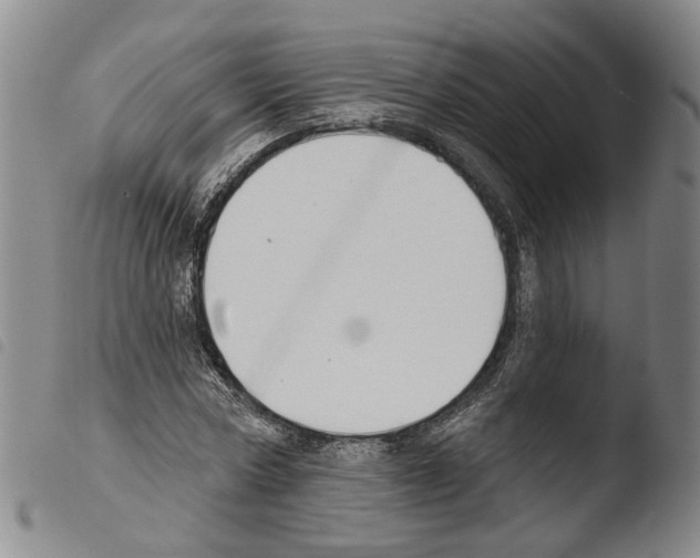 X0000103490778200810241100