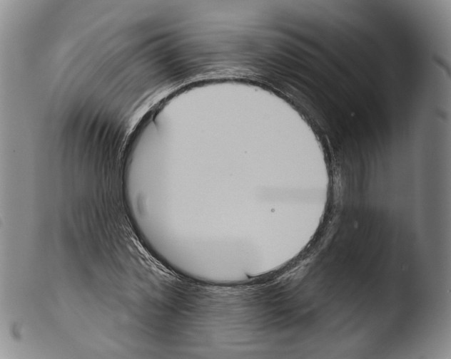 X0000103490781200810241100