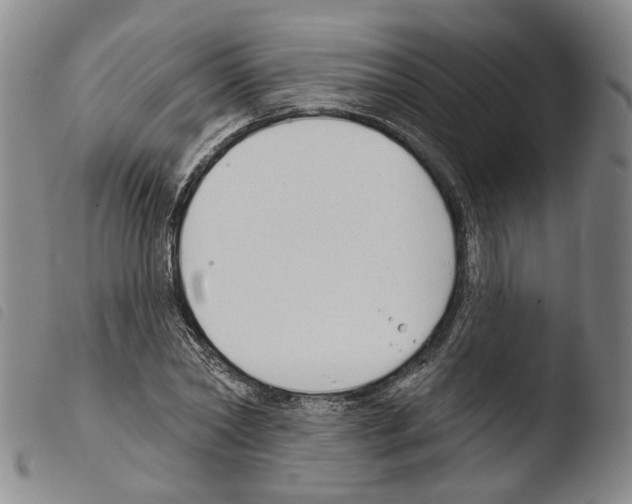 X0000103490782200810241100