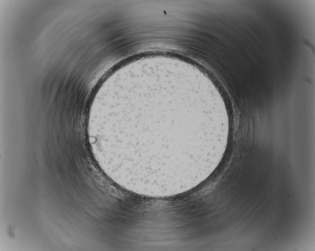 X0000103490783200810241100
