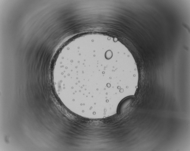 X0000103490784200810241100