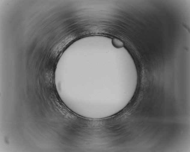 X0000103490785200810241100