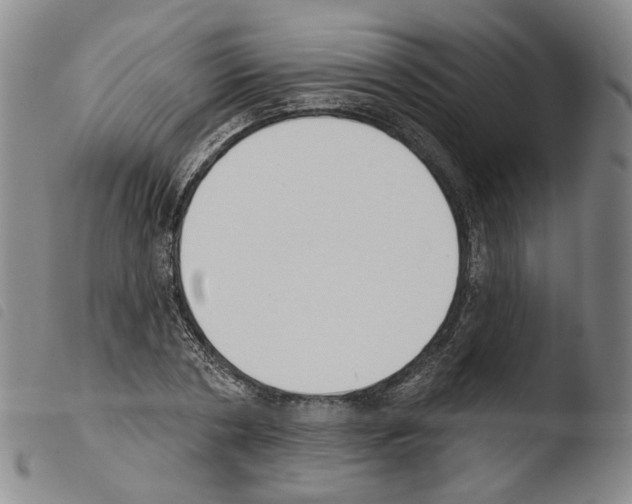 X0000103490786200810241100