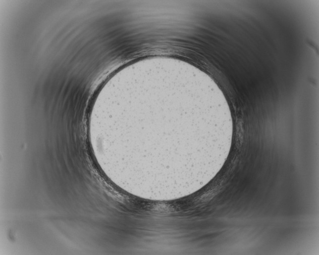 X0000103490787200810241100