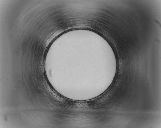 X0000103490789200810241100