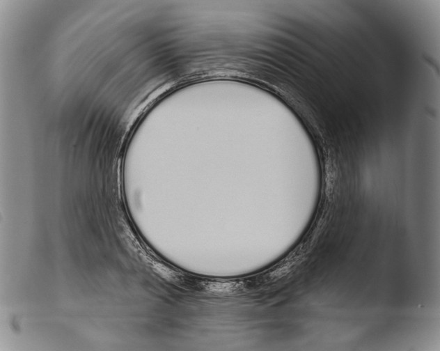 X0000103490790200810241100