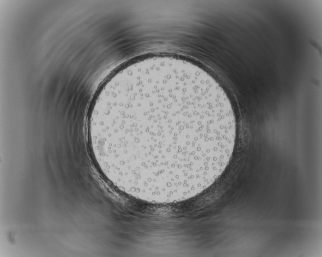 X0000103490791200810241100