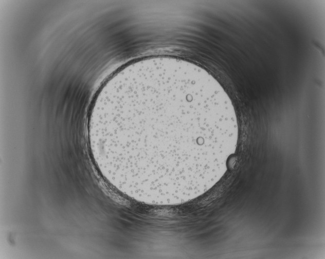 X0000103490792200810241100
