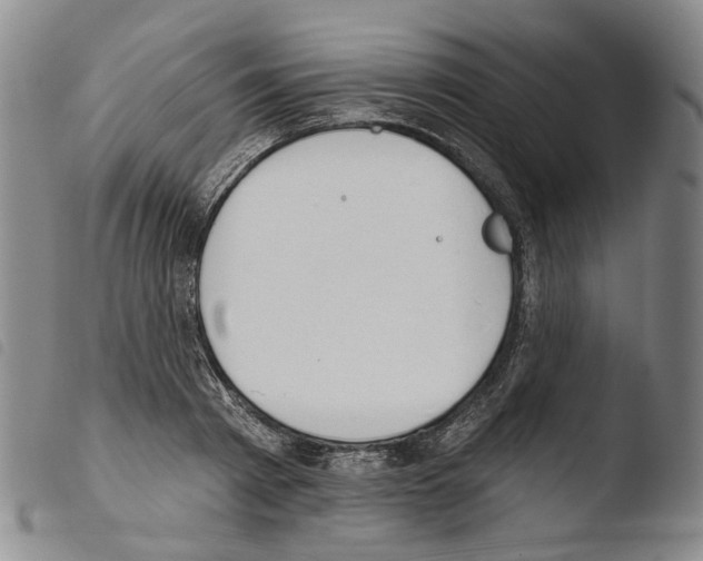 X0000103490793200810241100