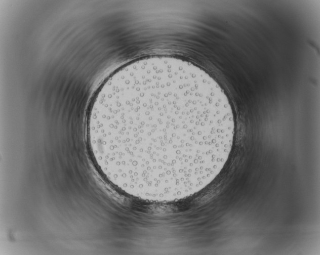 X0000103490795200810241100