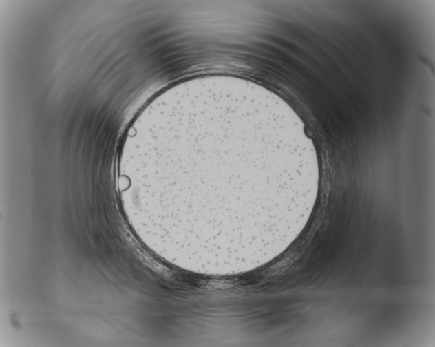 X0000103490796200810241100