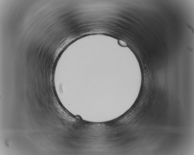 X0000103490797200810241100