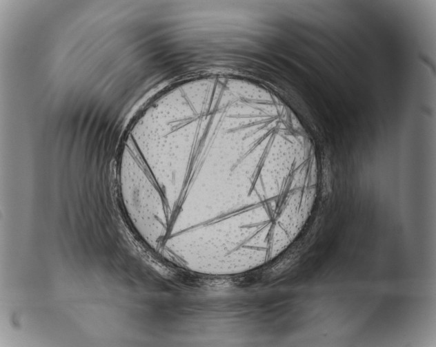 X0000103490798200810241100