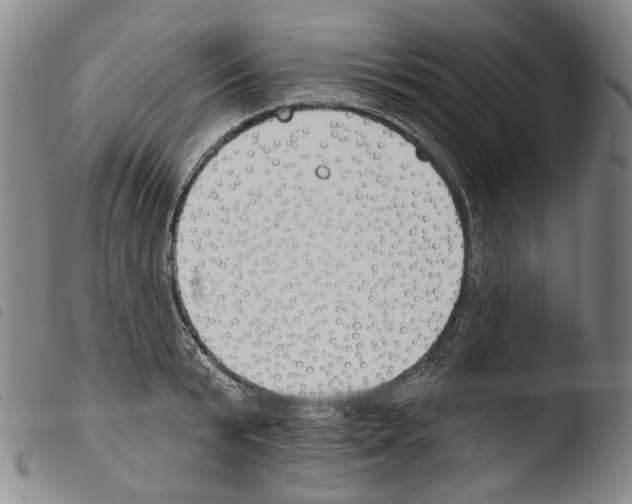 X0000103490799200810241100