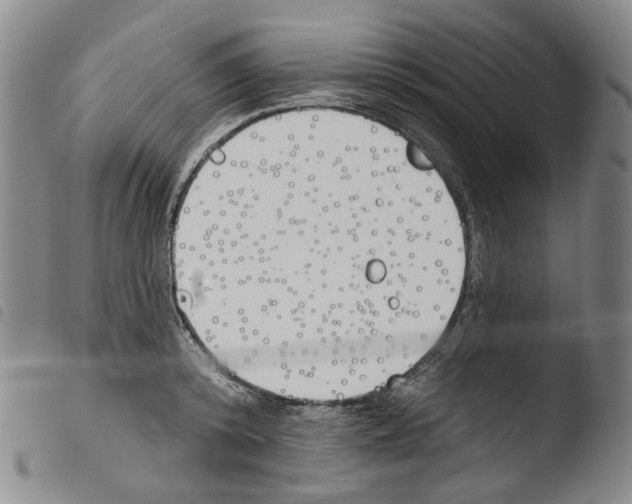 X0000103490800200810241100