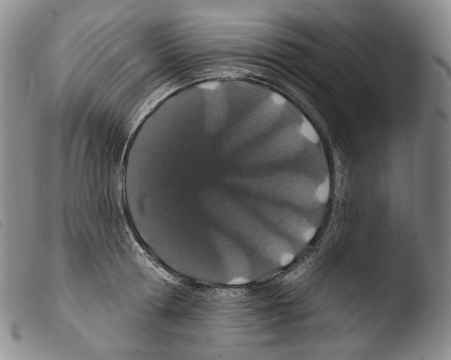 X0000103490802200810241100
