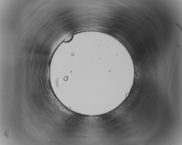 X0000103490804200810241100