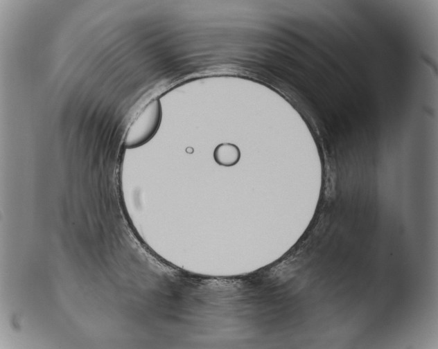 X0000103490805200810241100
