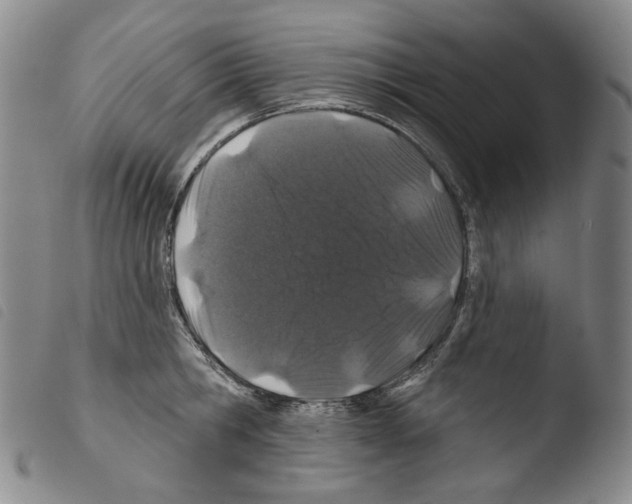X0000103490806200810241100