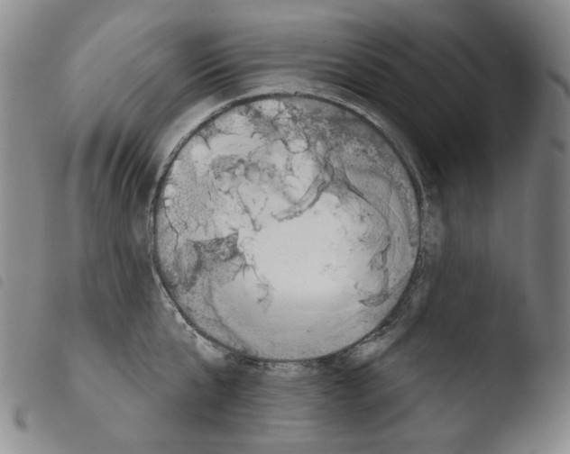 X0000103490807200810241100