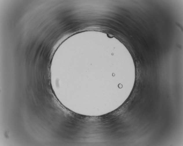 X0000103490808200810241100
